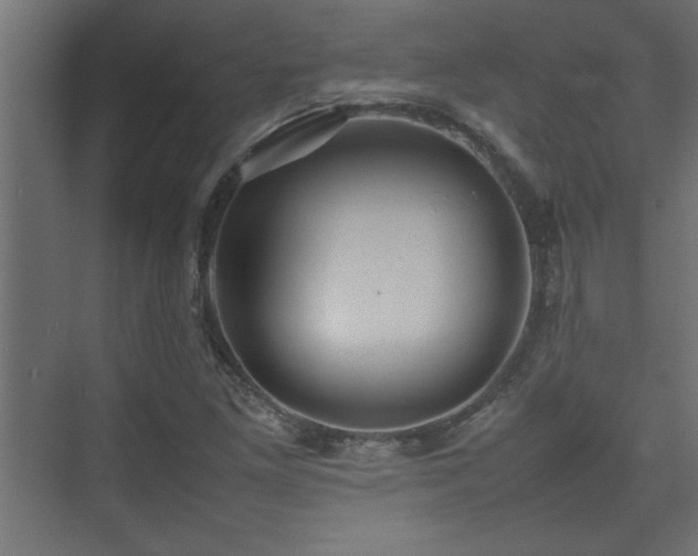 X0000074031261200608211443