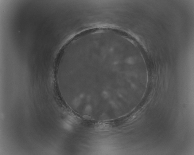 X0000074031263200608211443