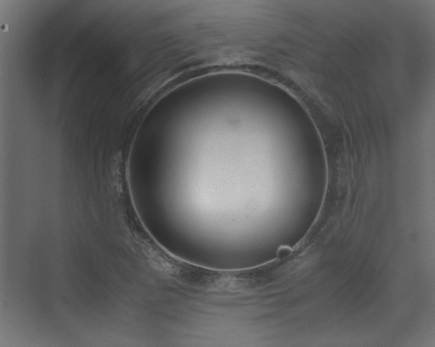 X0000074031265200608211443