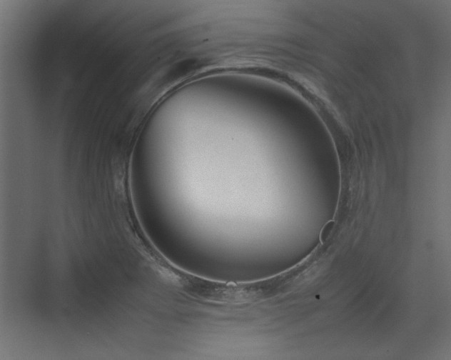 X0000074031273200608211443