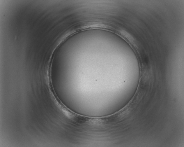 X0000074031282200608211443