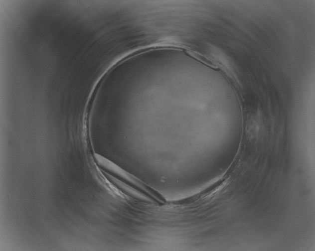X0000074031292200608211443