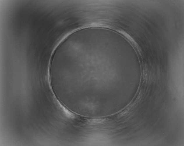 X0000074031294200608211443