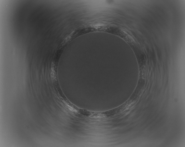 X0000074031298200608211442