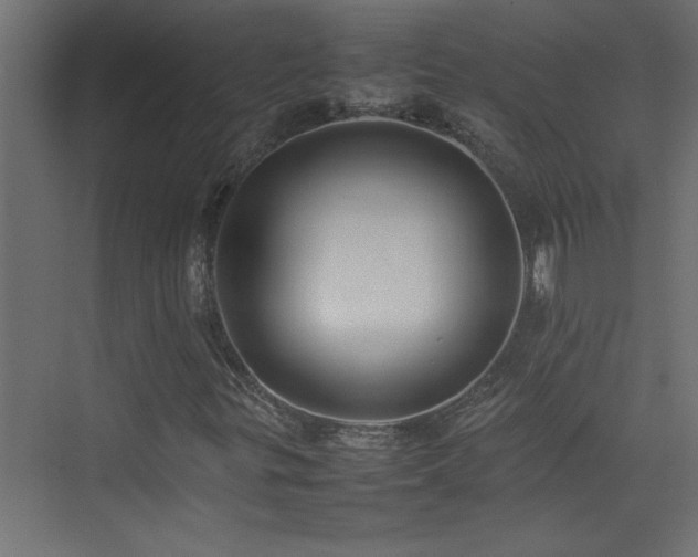 X0000074031299200608211442