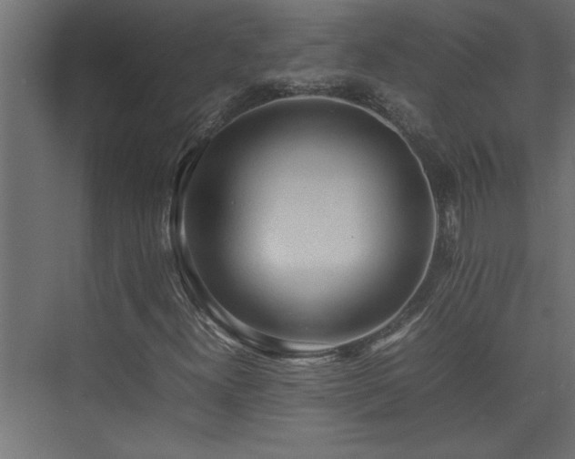 X0000074031300200608211442