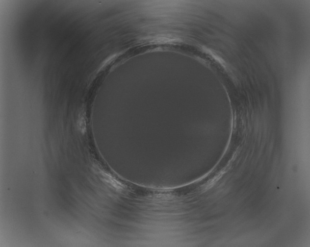 X0000074031306200608211442