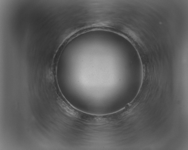 X0000074031308200608211442