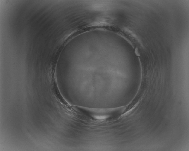 X0000074031313200608211442