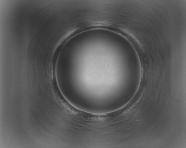 X0000074031317200608211442