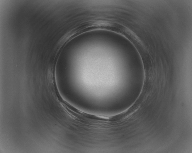 X0000074031321200608211442