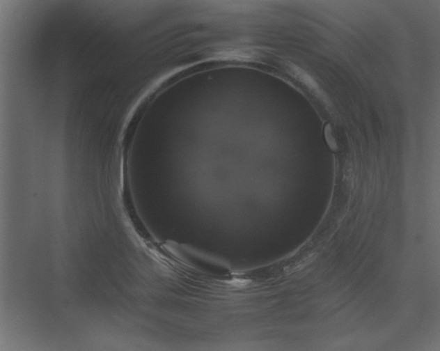 X0000074031323200608211442