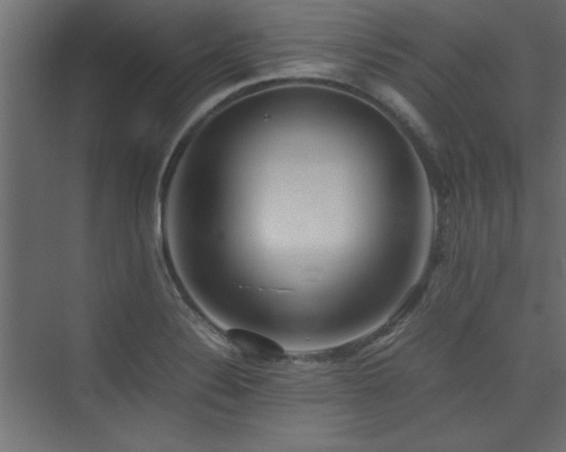 X0000074031324200608211442