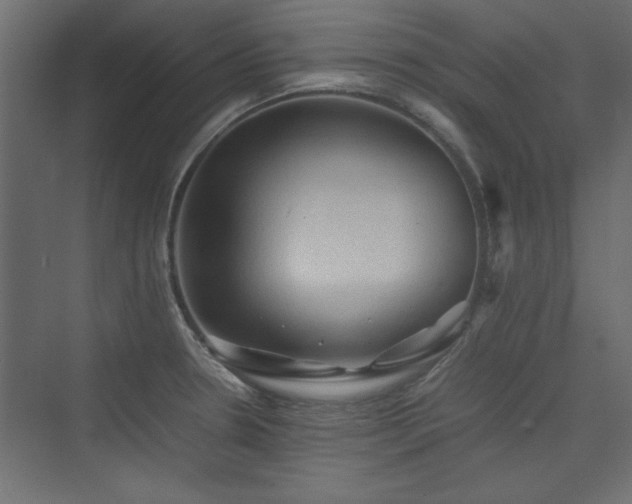 X0000074031330200608211442