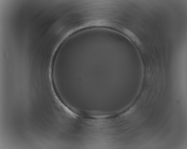 X0000074031334200608211442