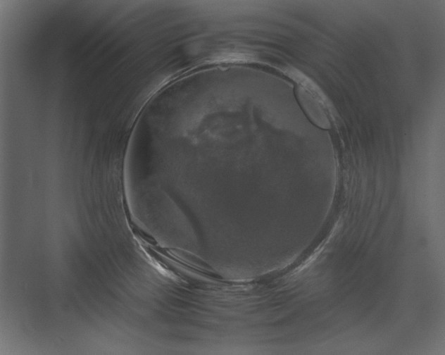 X0000074031337200608211442