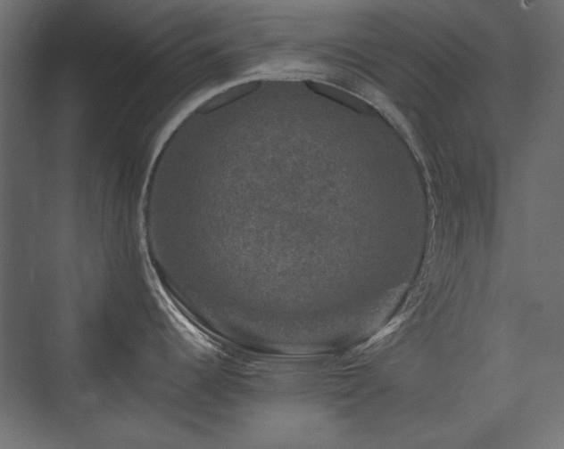 X0000074031344200608211442