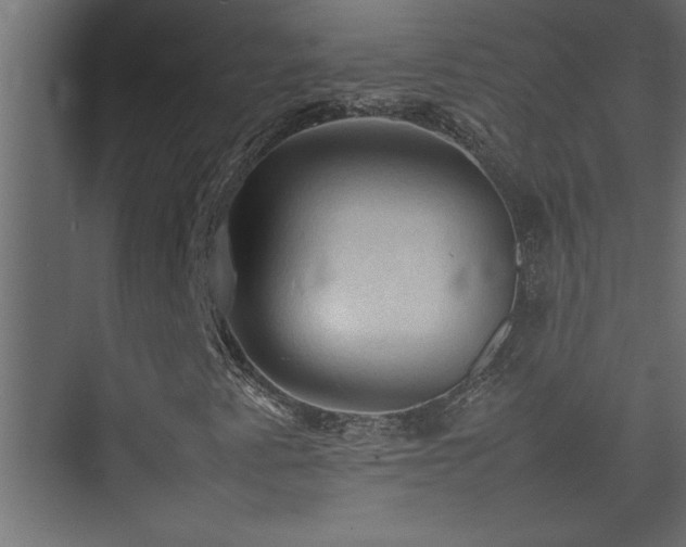 X0000074031345200608211442