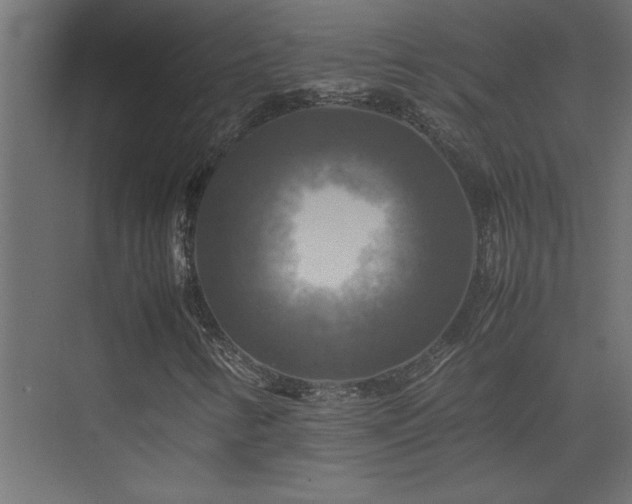X0000074031346200608211442