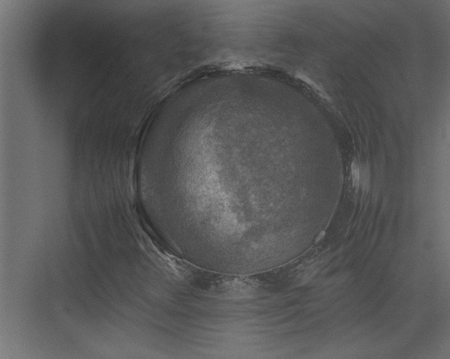 X0000074031348200608211442