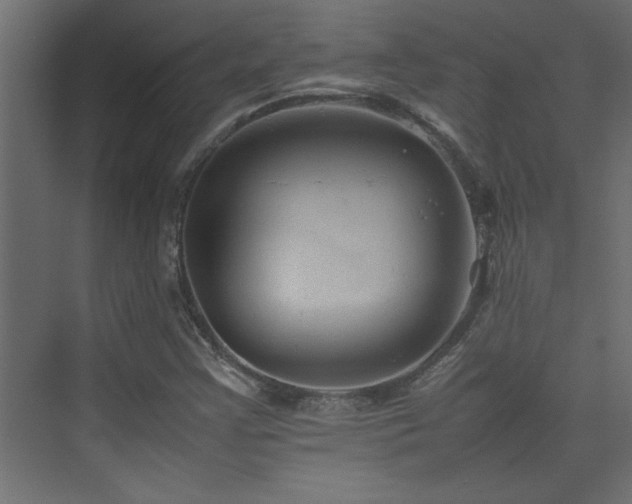 X0000074031355200608211441
