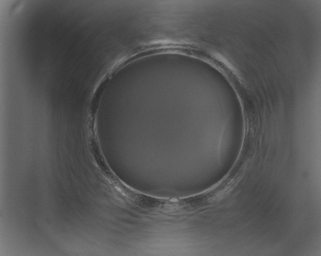 X0000074031357200608211441