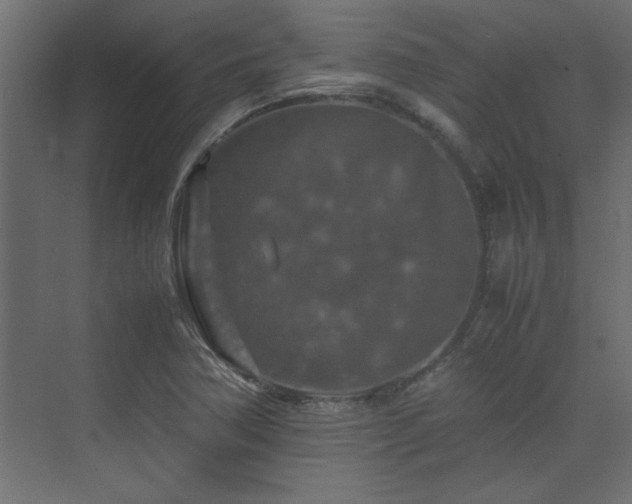X0000074031362200608211441