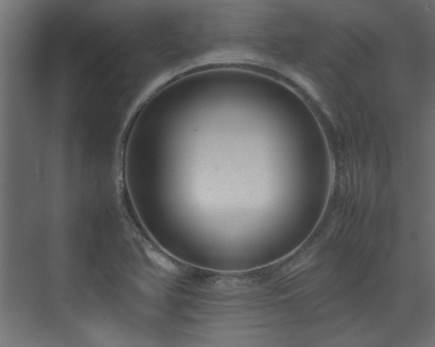 X0000074031366200608211441