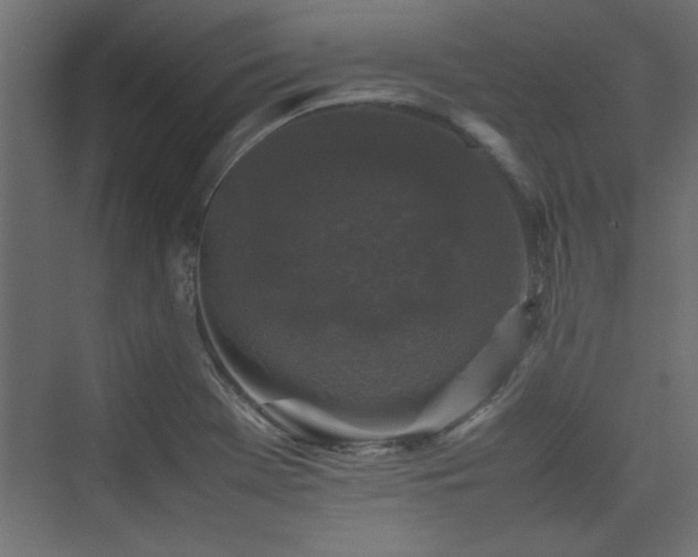 X0000074031369200608211441