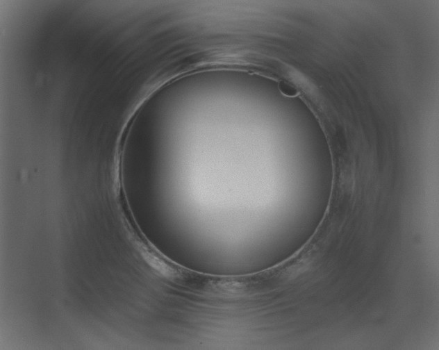 X0000074031370200608211441