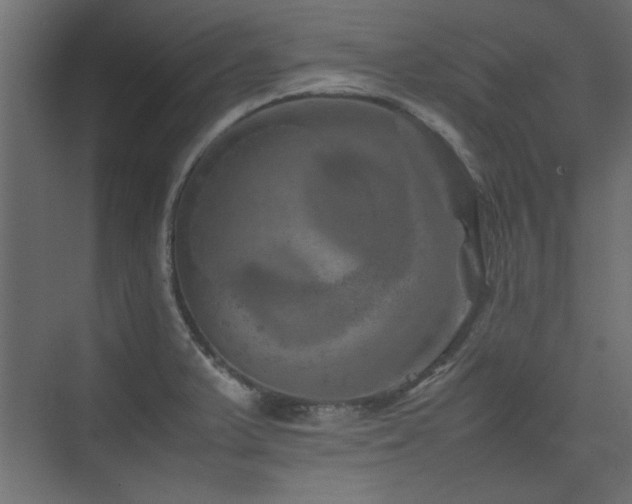X0000074031375200608211441
