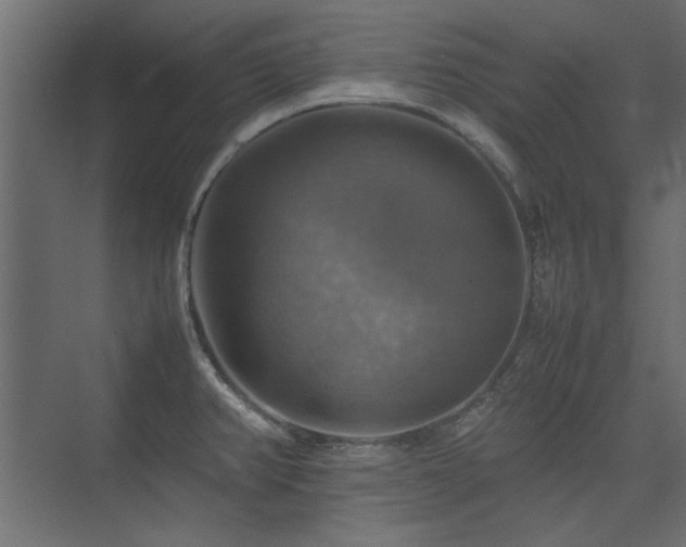 X0000074031382200608211441