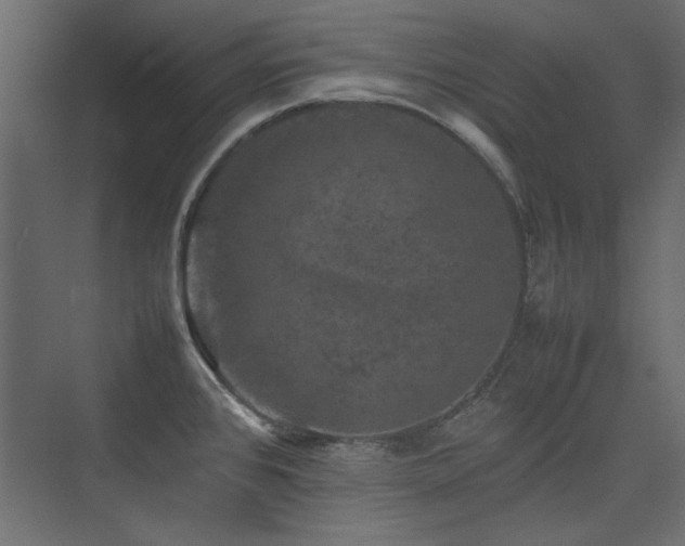 X0000074031384200608211441
