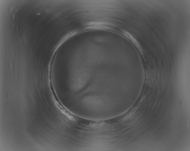 X0000074031386200608211441