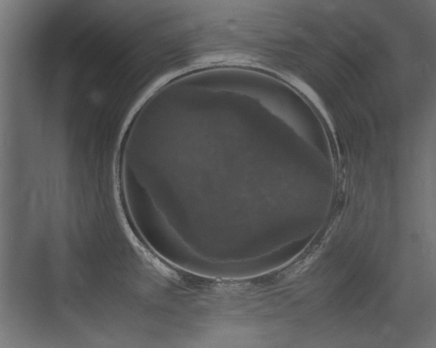 X0000074031389200608211441