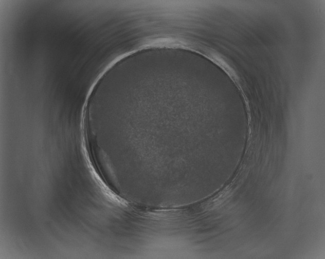 X0000074031392200608211441