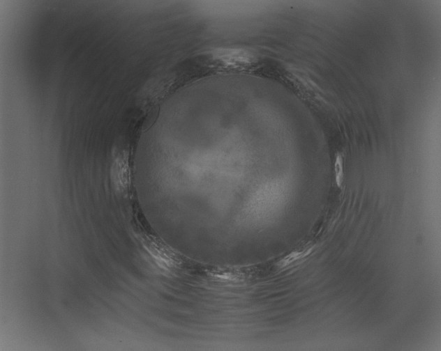 X0000074031395200608211440