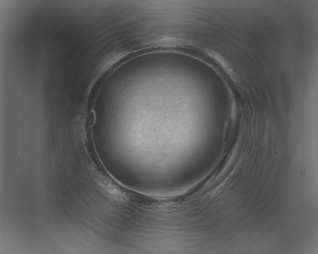 X0000074031410200608211440