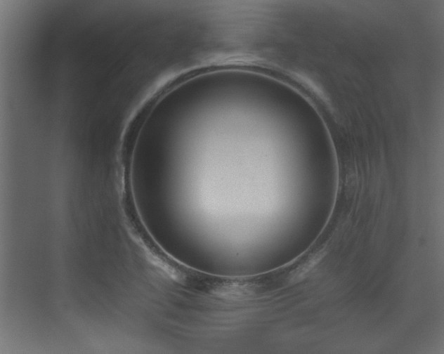 X0000074031414200608211440