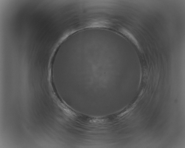 X0000074031419200608211441