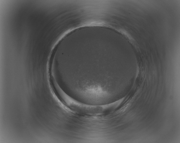 X0000074031422200608211441