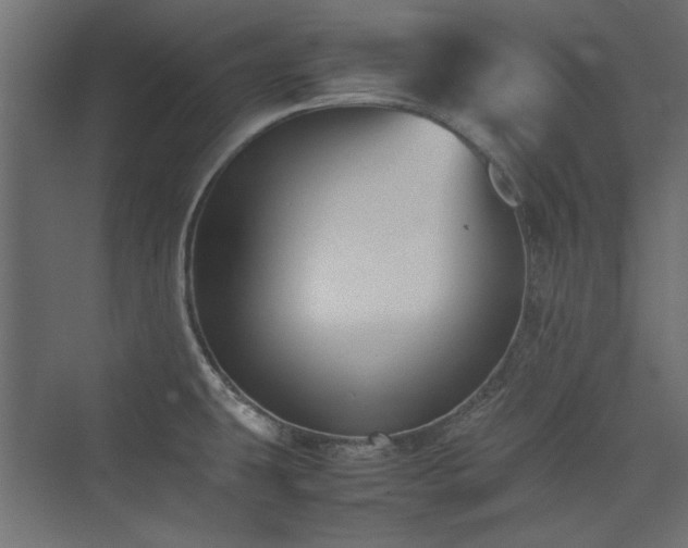 X0000074031431200608211441