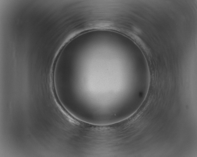 X0000074031432200608211441