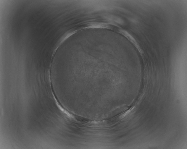 X0000074031433200608211441