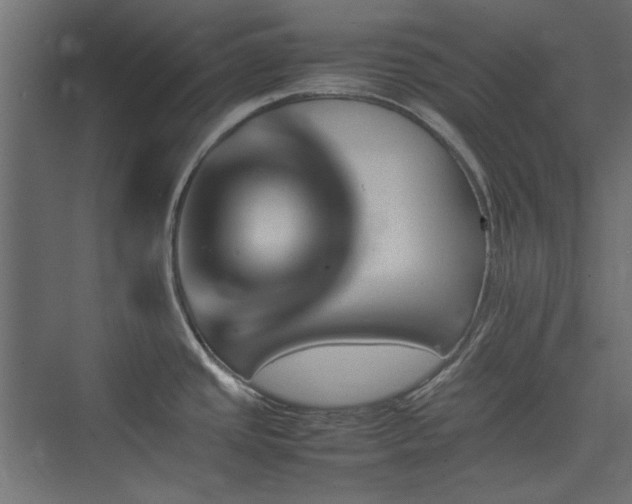 X0000074031437200608211441