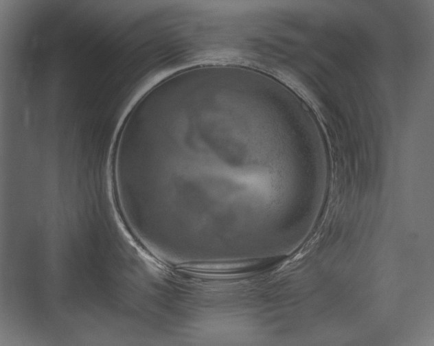 X0000074031440200608211441