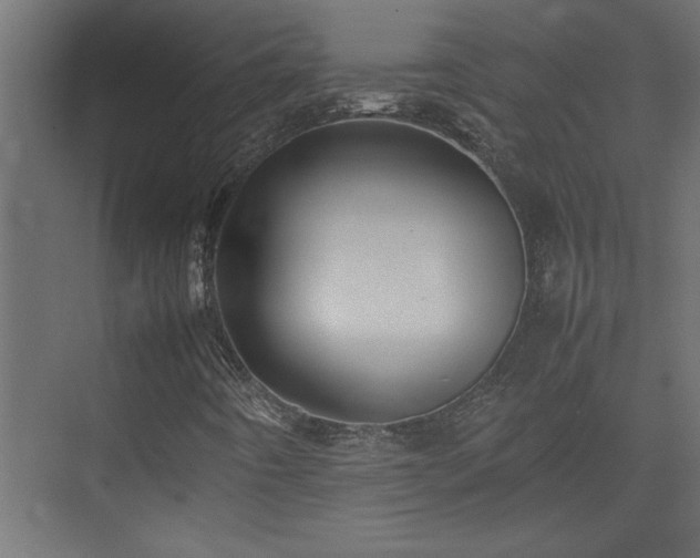 X0000074031442200608211440