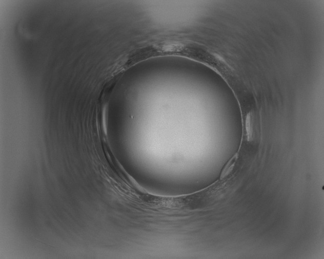 X0000074031443200608211440