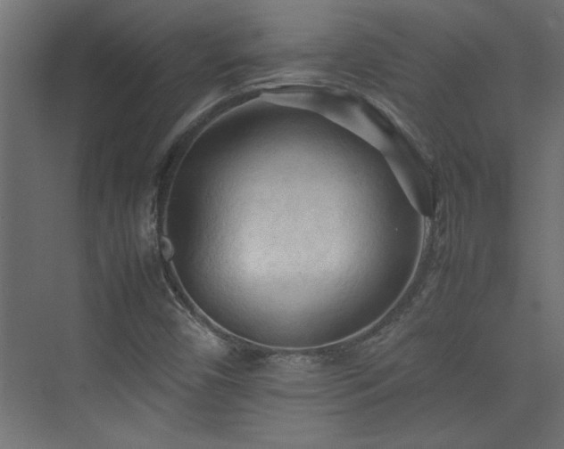 X0000074031450200608211440