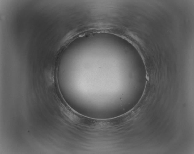 X0000074031451200608211440
